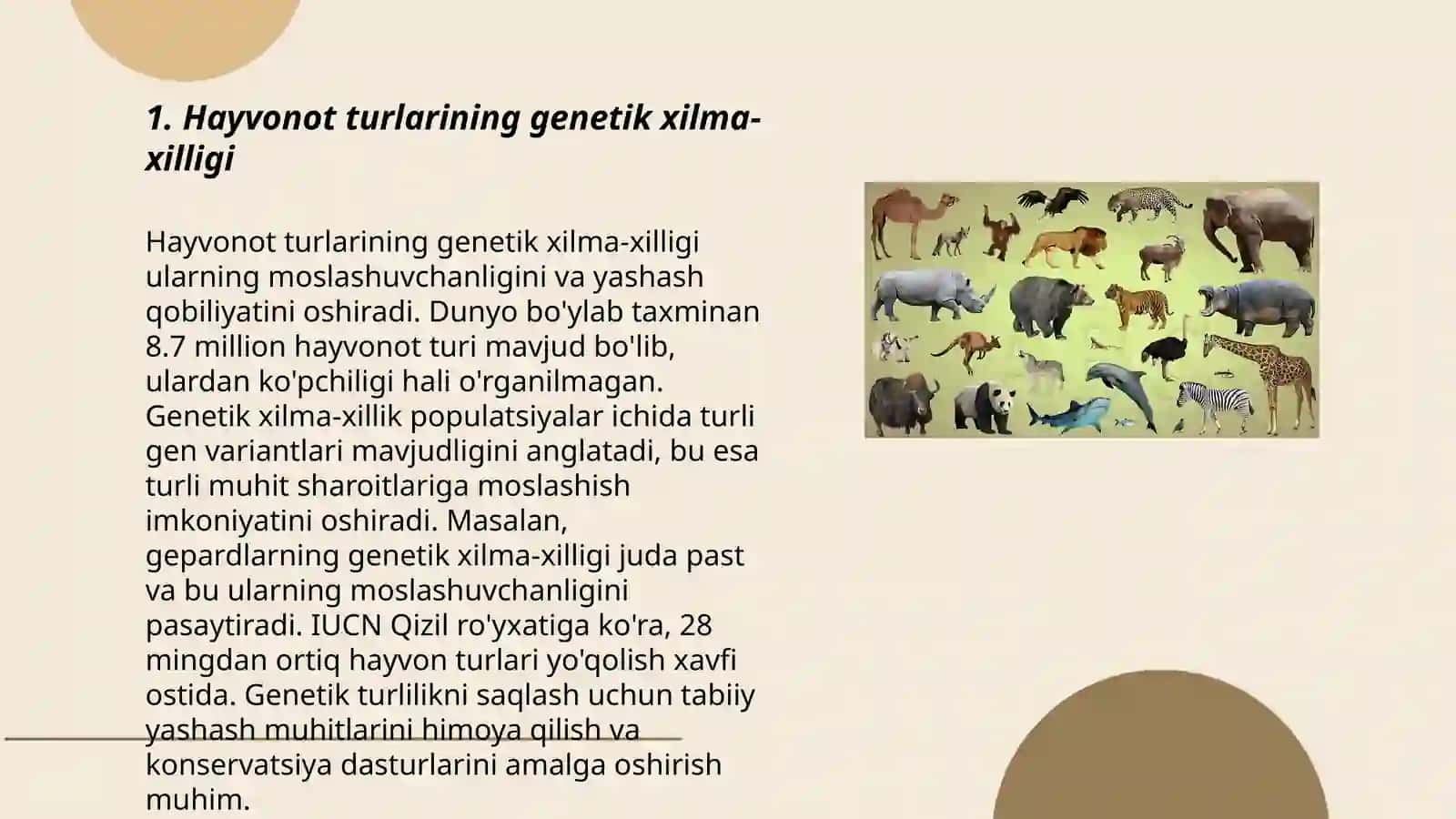 Hayvonot olamining xilma-xilligi 3