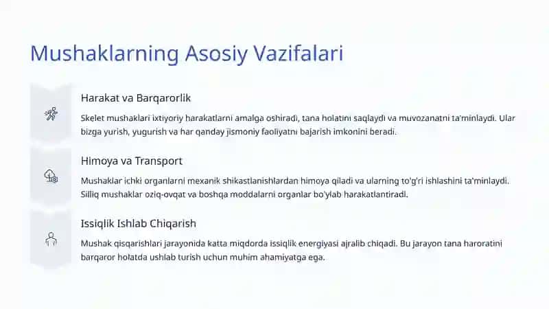 Mushak Tizimi 3