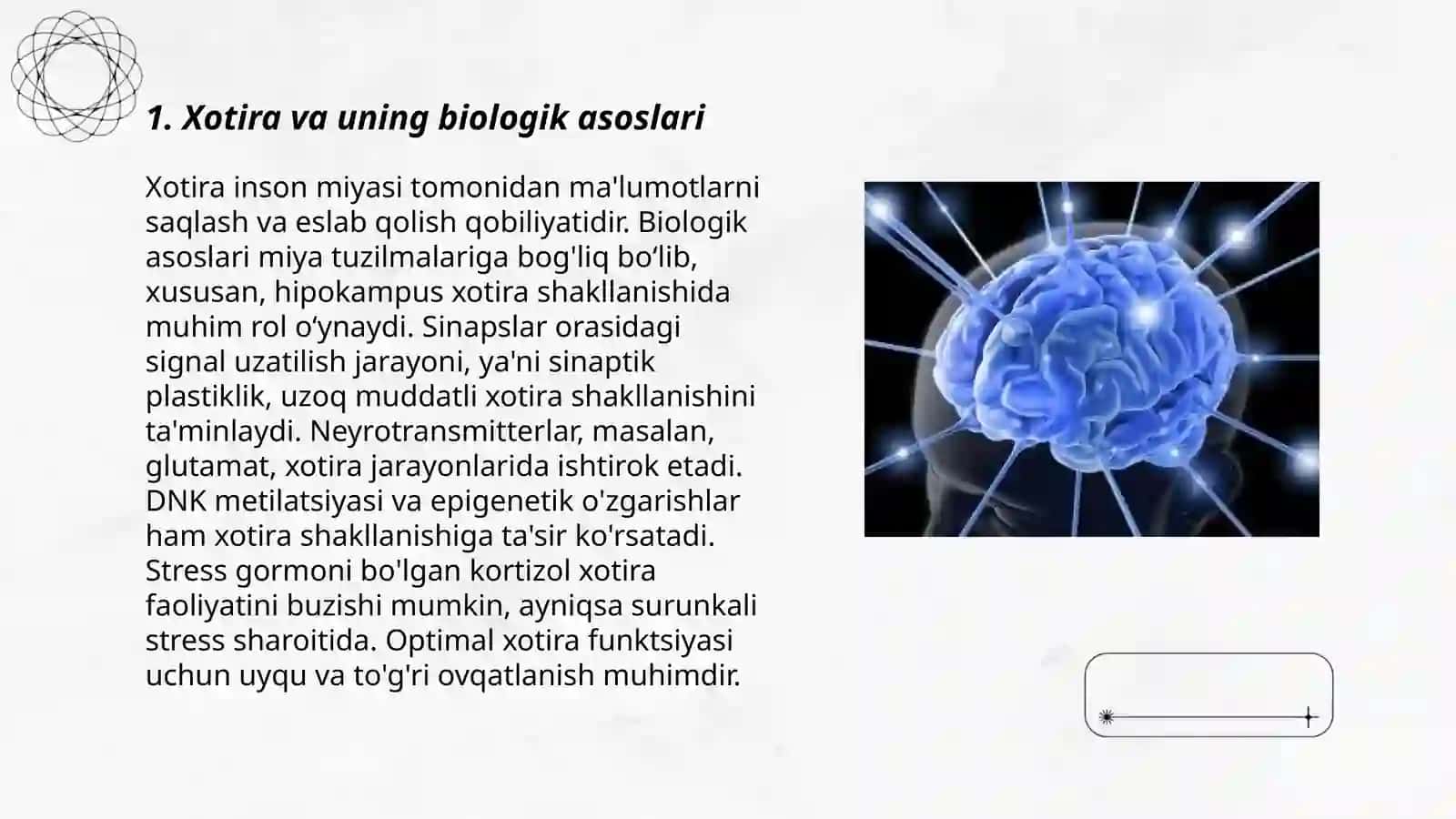 Xotira va uning biologik asoslari 3