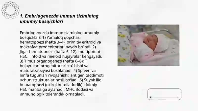 Embriogenezda immun tizimini shaklanishi 3