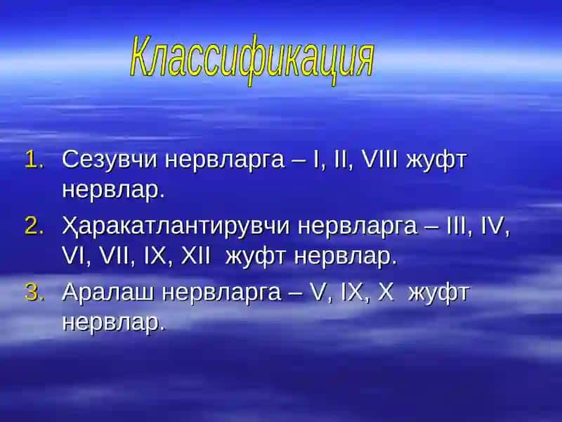 Бош мия нервлари 3