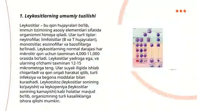 Leykositlar fiziologiyasi va uning turlari 3