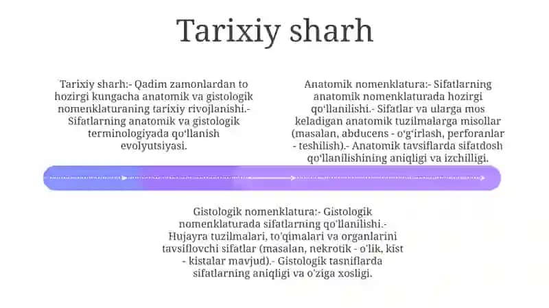Anatomik Va Gistalogik Nomenklaturalarida Qo'Llaniladigan Hozirgi Zamon Sifatdoshining Aniqlik Nisbati 3