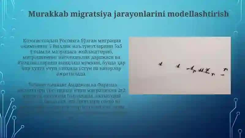 Migratsiya Matritsalarining Turlari va Ularning Xususiyatlari 3