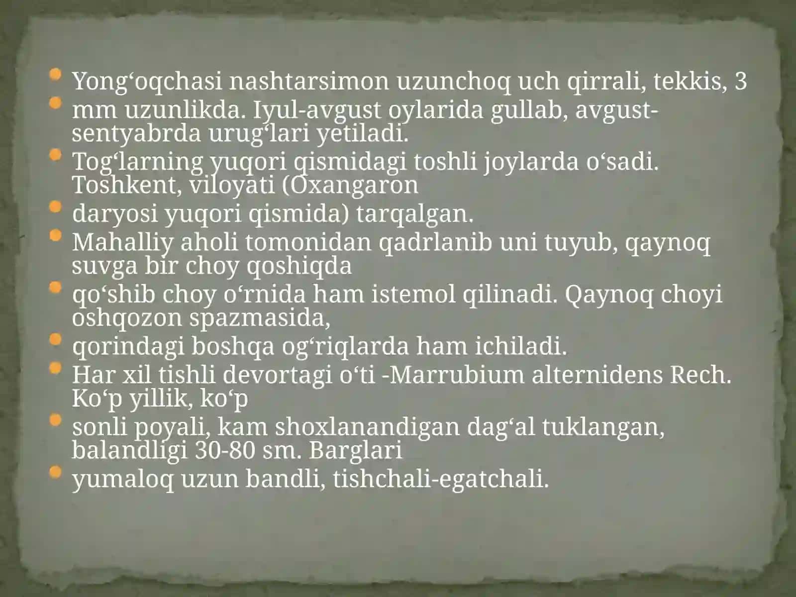 Turkiston ayugasi - Ajuga turkestanica 3
