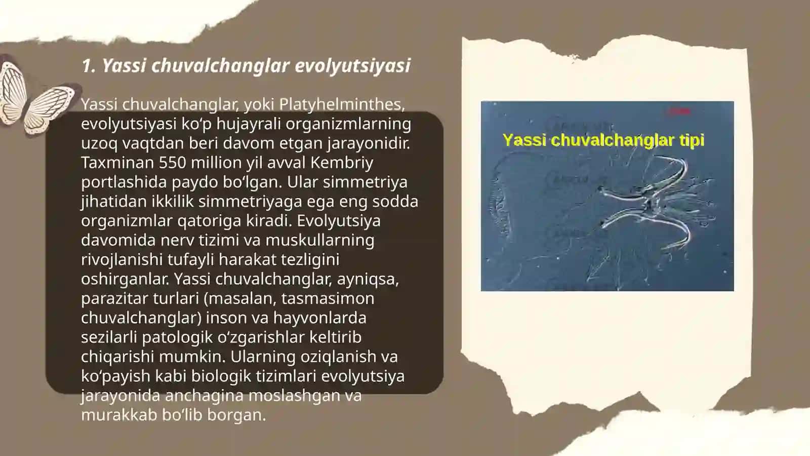 Yassi chuvalchanglar 3