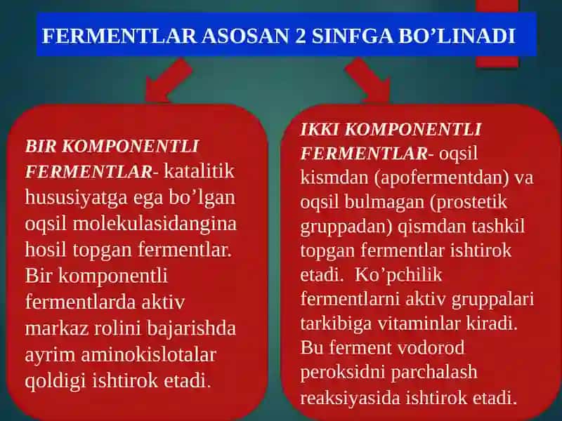 Fermentativ parchalanish jarayonini kuzatish va amilaza faolligini aniqlash 3