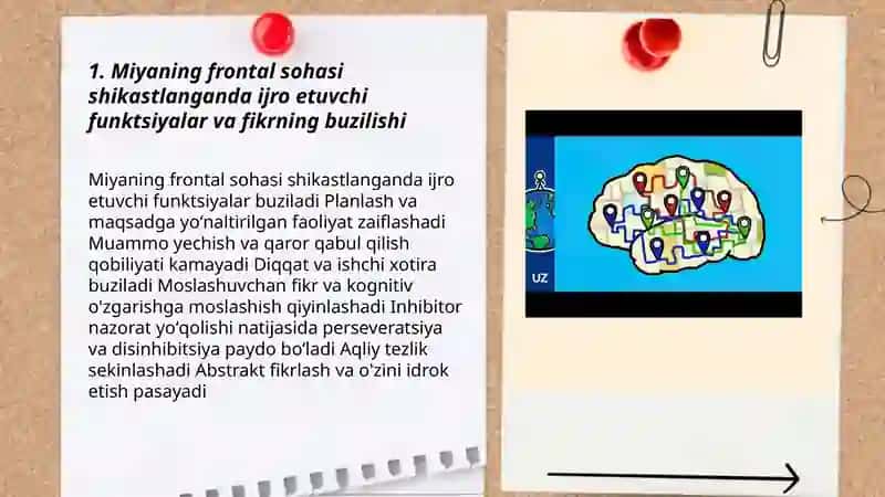 Miyaning frontal sohasi shikastlanganda fikrning buzilishi 3