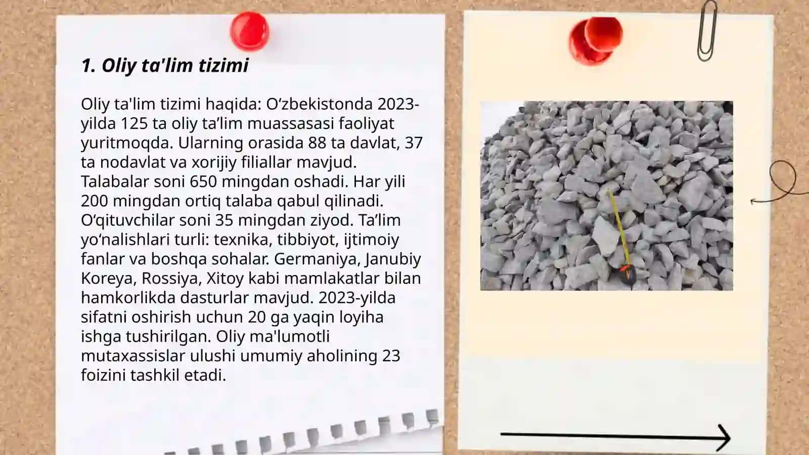 Oliy ta'lim tizimi 3