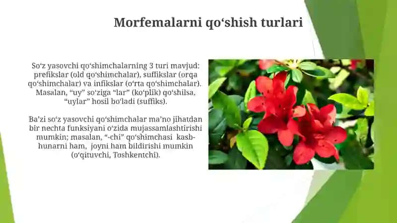 Affiksional morfema turlari 3