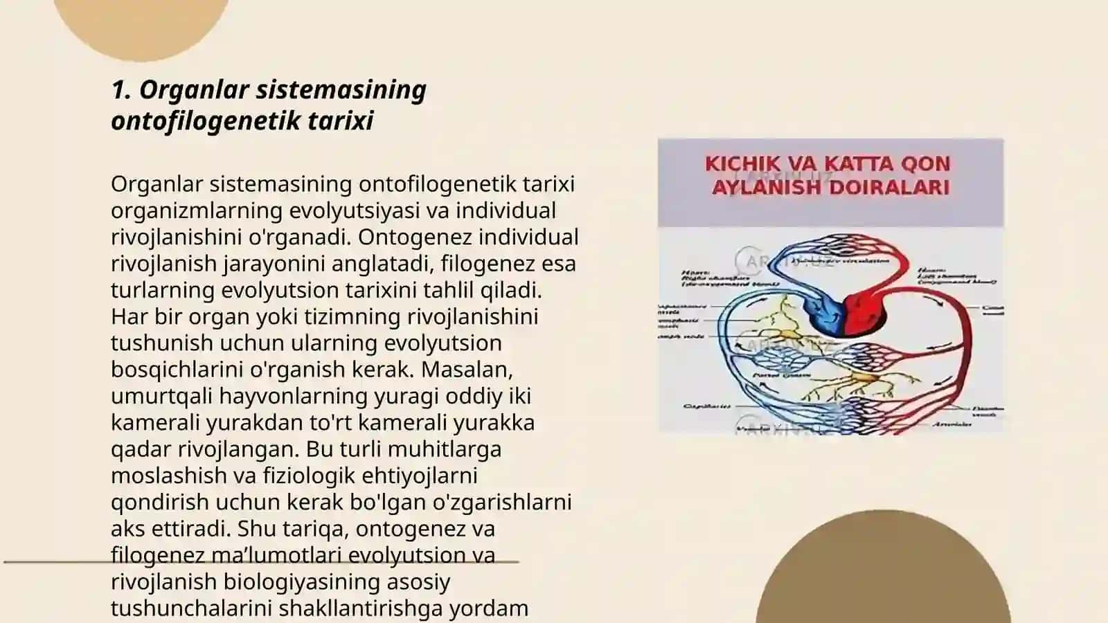 Organlar sistemasi onto-filogenezi 3