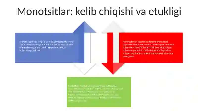 Mononuklear Fagositlar Tizimi Tarkibi 3