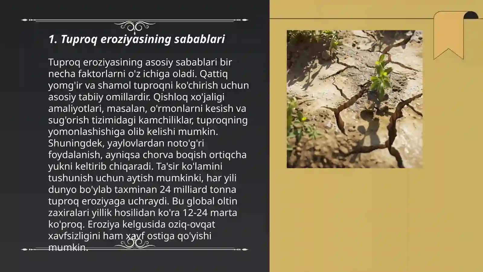 Tuproq eroziyasi va unga qarshi kurash choralari 3
