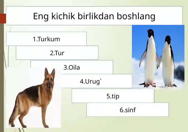 Soxta oyoqlilar sinfi 3