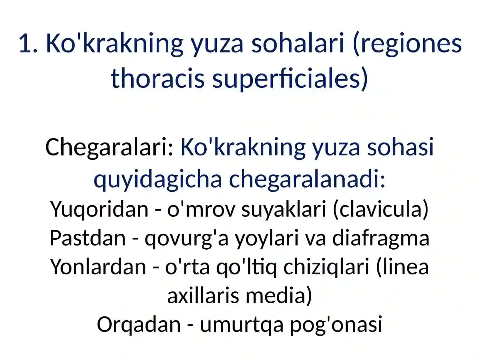 Ko'krakning yuza sohalari tuzilishining xususiyatlari 3