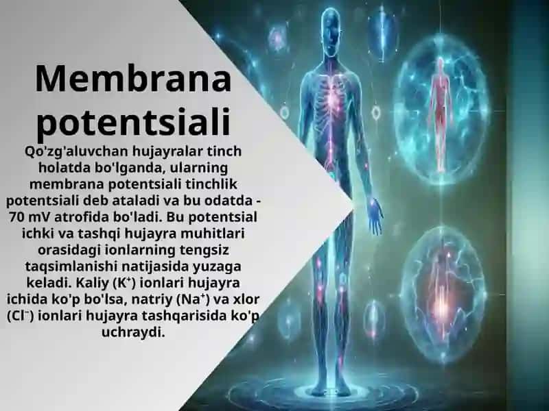 Qo'zg'aluvchan to'qimalarda bioelektrik hodisalar 3