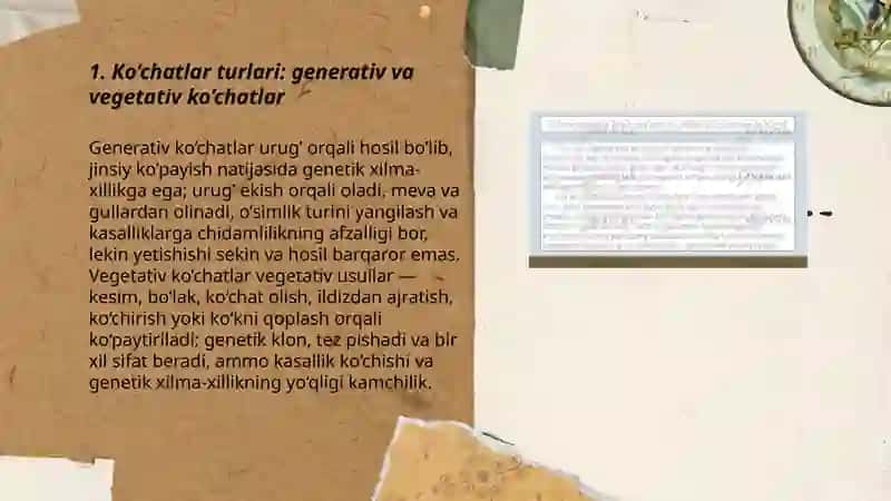 Ko’chatlar turlari va ularning xususiyatlari 3