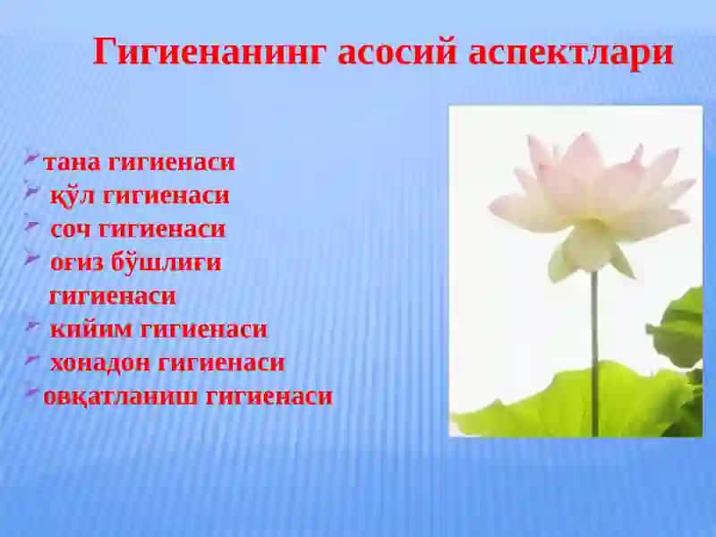ЎҚУВЧИЛАРНИ ГИГИЕНИКТАРБИЯЛАШ 3