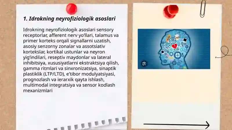 Idrokning neyrofiziologik mexanizmlari 3
