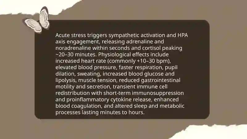 The Mind-Body Connection: Stress and its Physical Manifestations 3