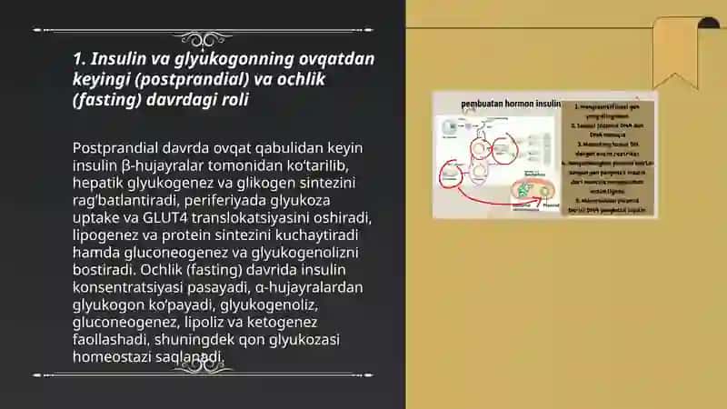 Odam organizmida kechadigan metabolik jarayonlarda insulin va glyukogonning roli 3