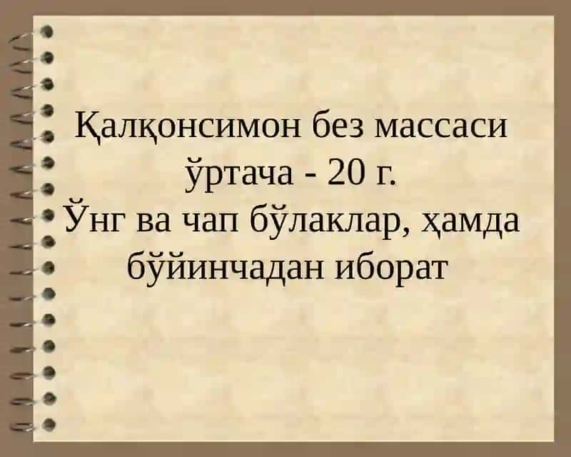 Қалқонсимон безтузилиши ва касалликлар 3