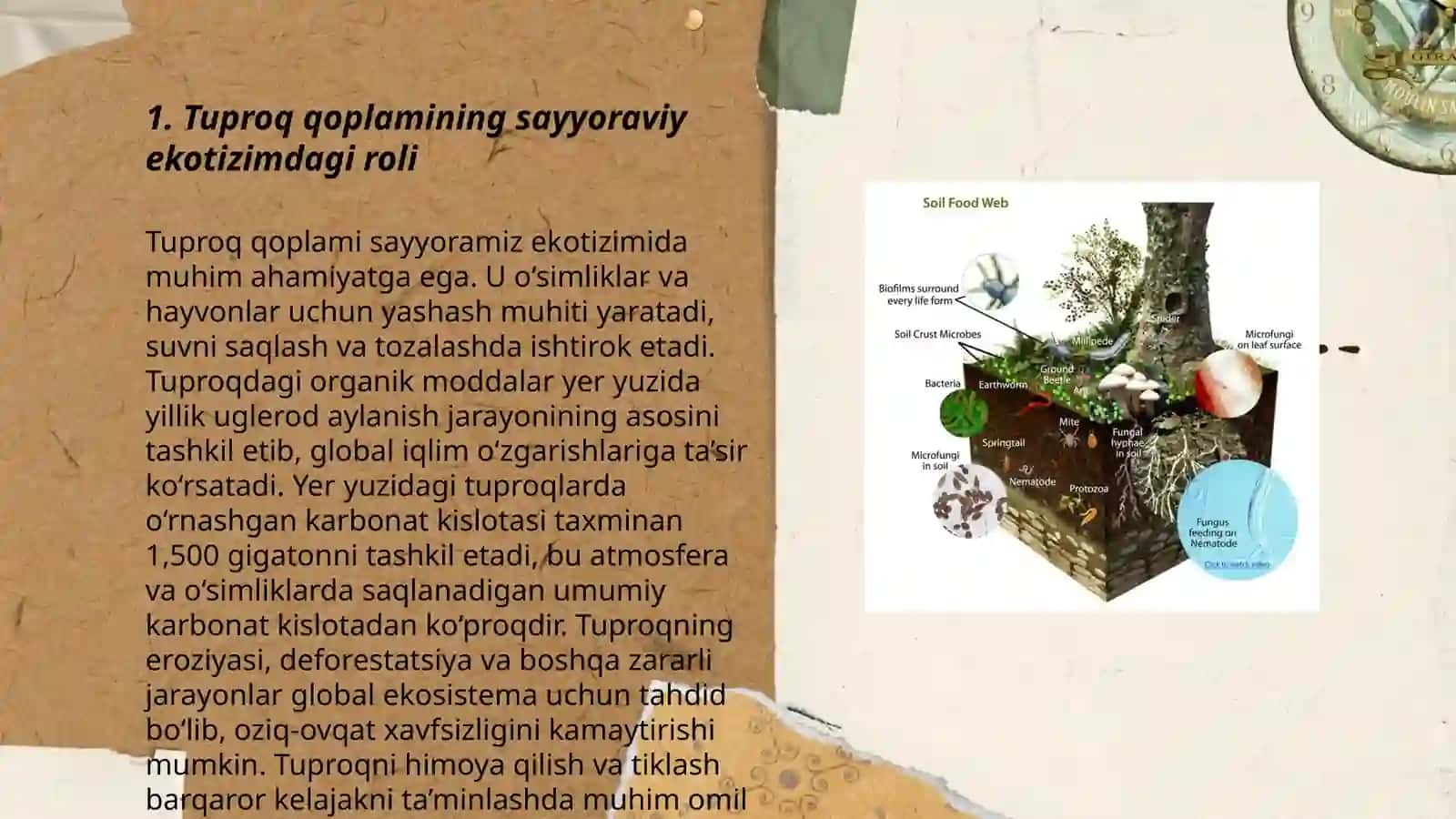Tuproq qoplamining sayyoraviy roli 3