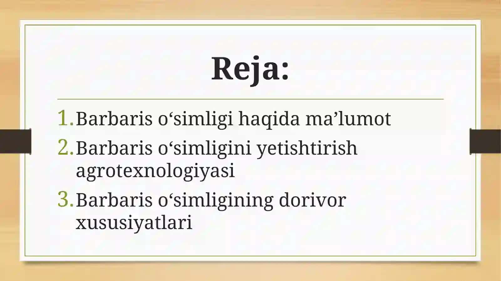 Barbaris (Zirk) oʻsimligi, agrotexnologiyasi va dorivor xususiyatlar 3