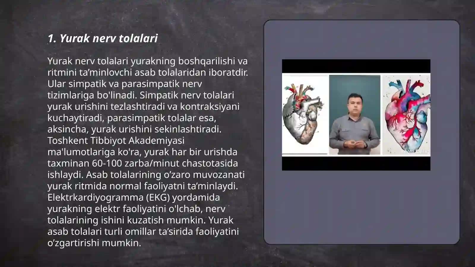 Yurakning oʻtkazuvchi yoʻllari. Yurak innervasiyasi 3
