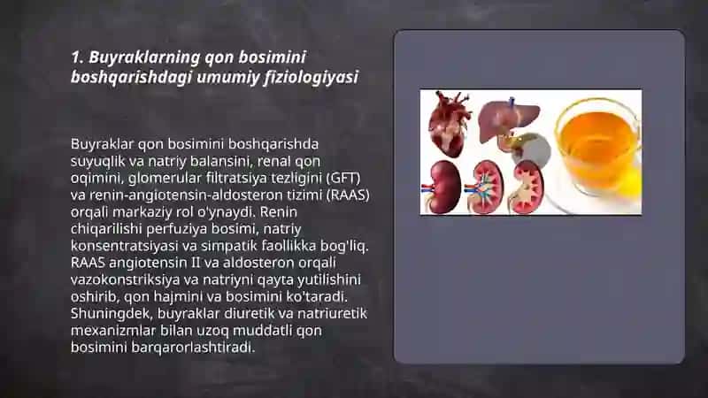 Buyraklarning qon bosimini boshqarishdagi umumiy fiziologiyasi 3