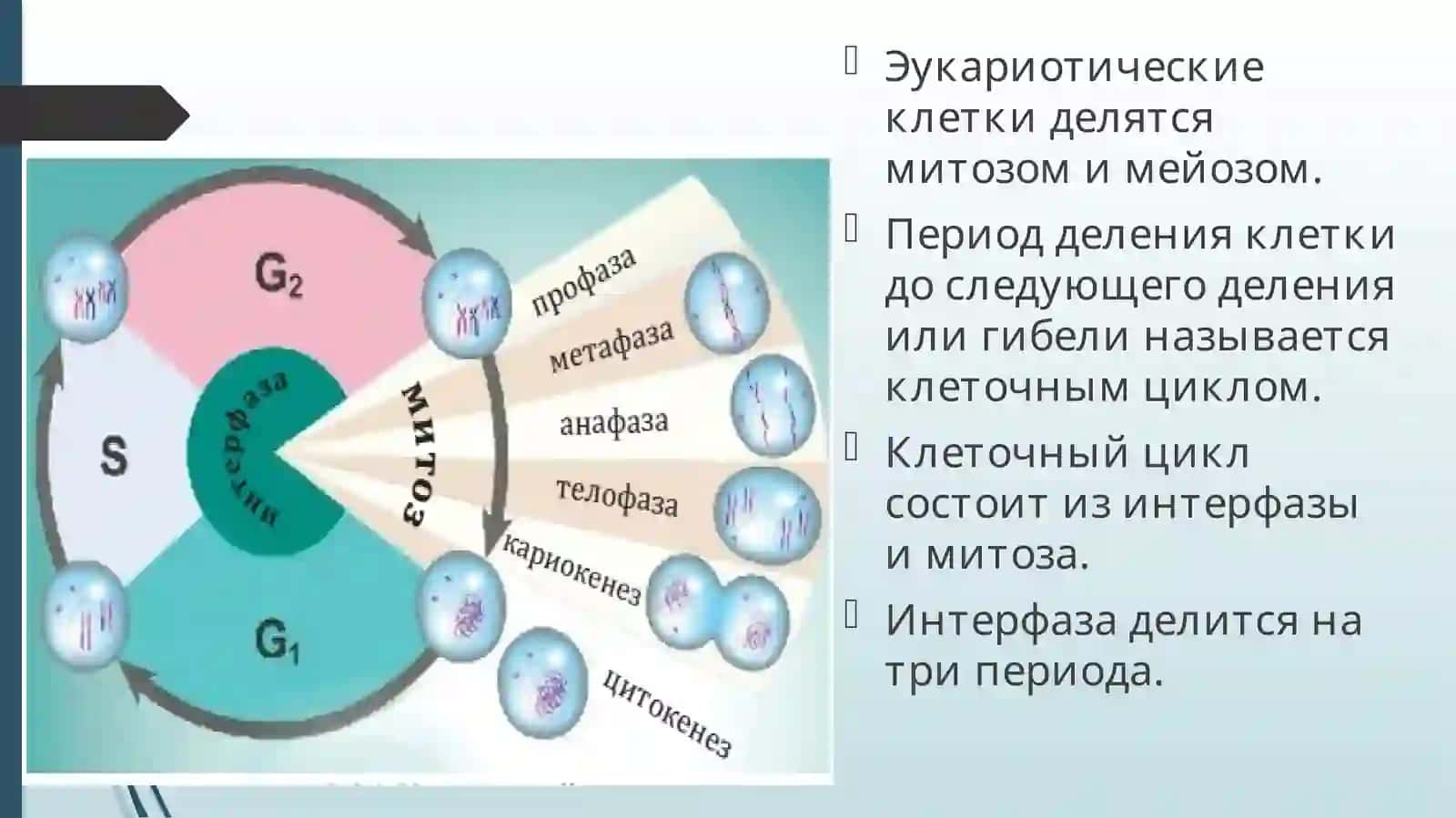 Методические указания по биологии 3