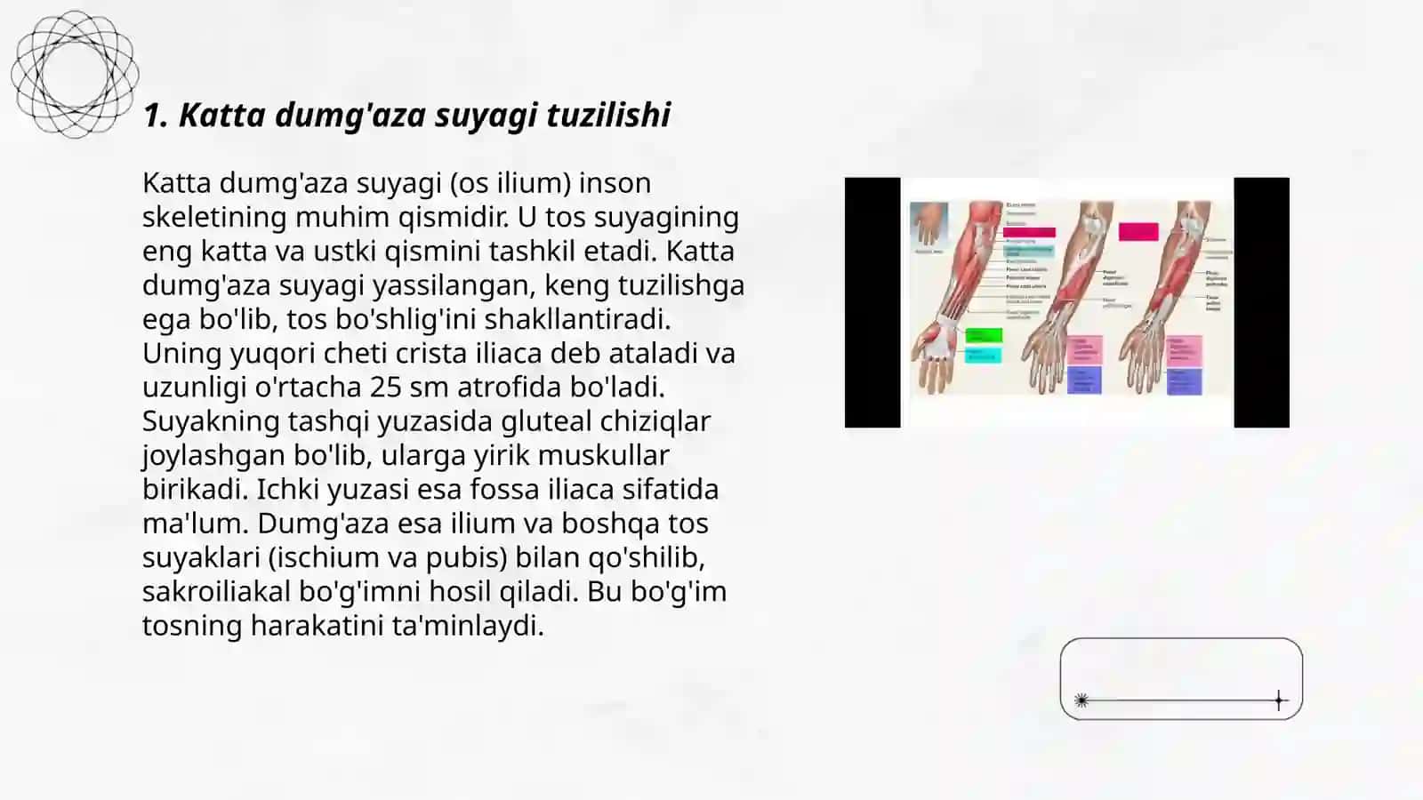 Bilak orqa yuzasining topografiyasi 3
