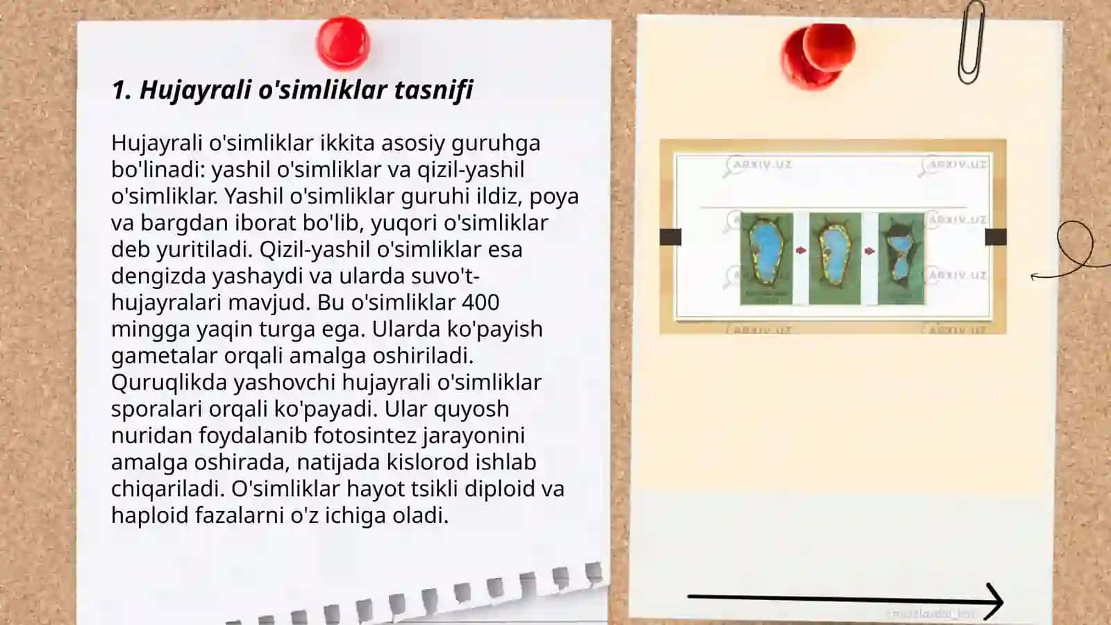 Hujayra oʻsimliklar olami va sistematikasi 3