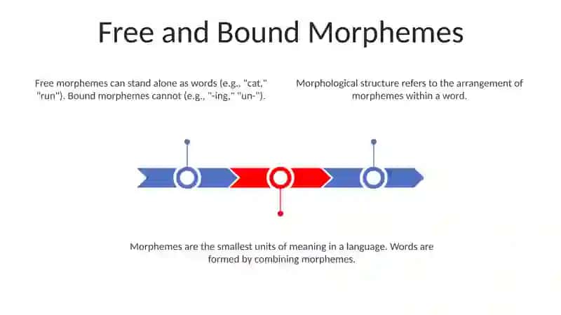 Morphological structure of the word 3
