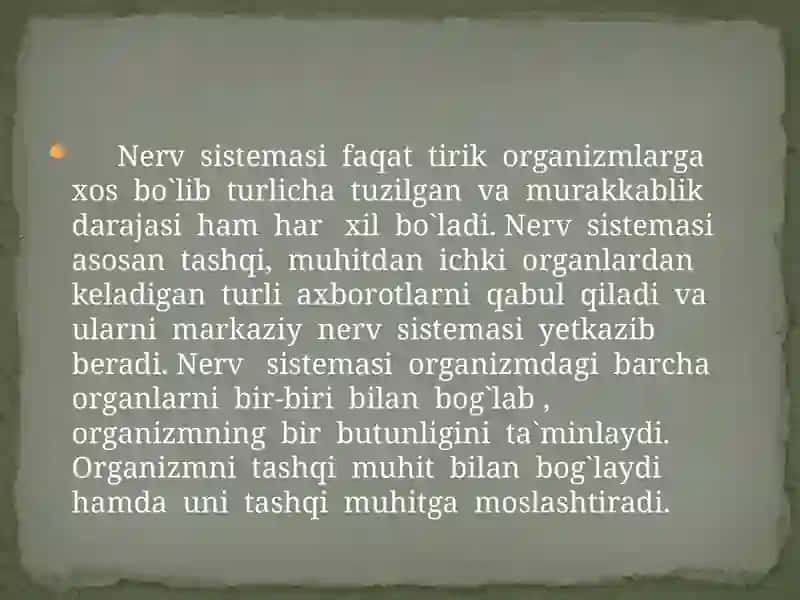Nervsistemasining Tuzilishi 3
