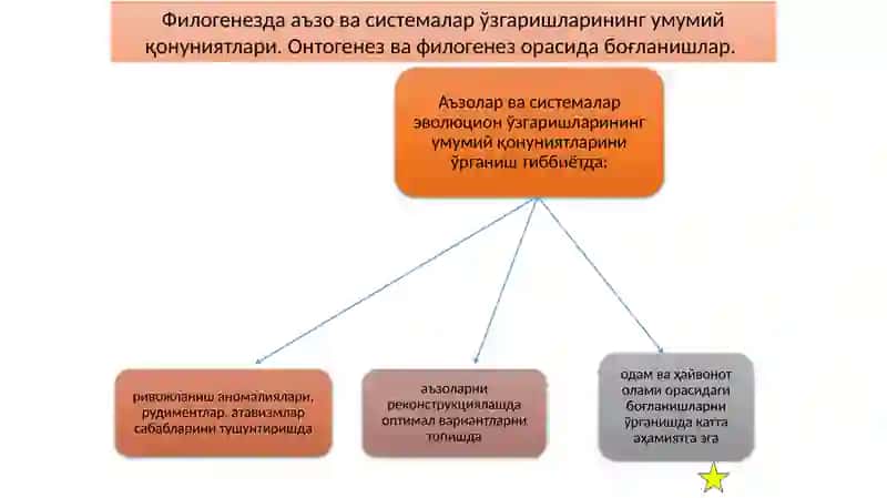 Эволюцион жараёнлар ва уларнинг умумий қонуниятлари 3