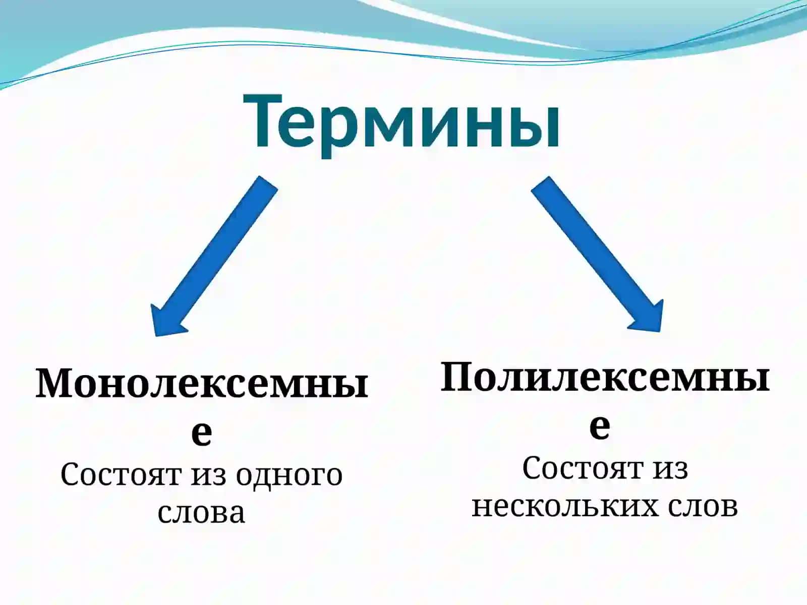 Терминология 3