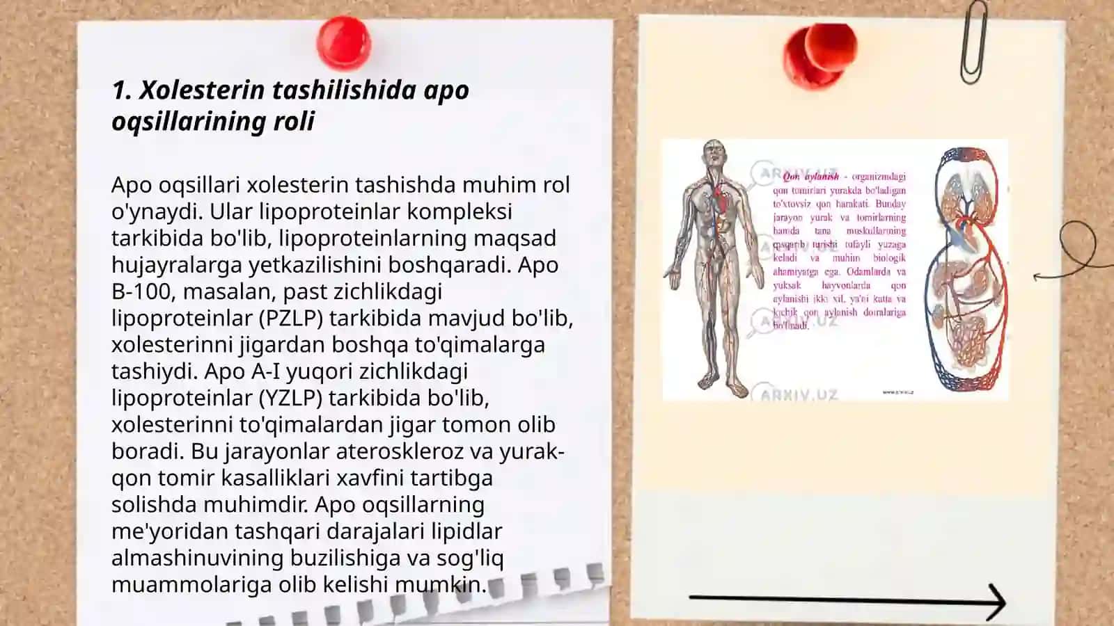 Xolesterin tashilishida apo oqsillarining roli 3