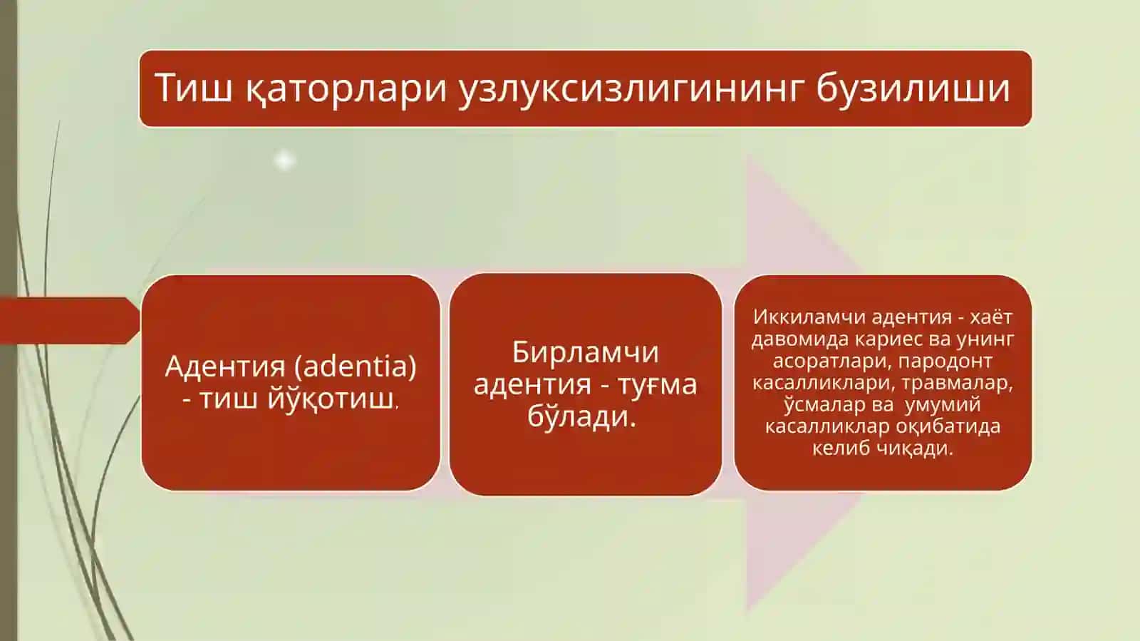Тиш қаторлари деформатсияларини бартараф этишнинг аппаратур-физиотерапевтик ва ортодонтик усуллари 3