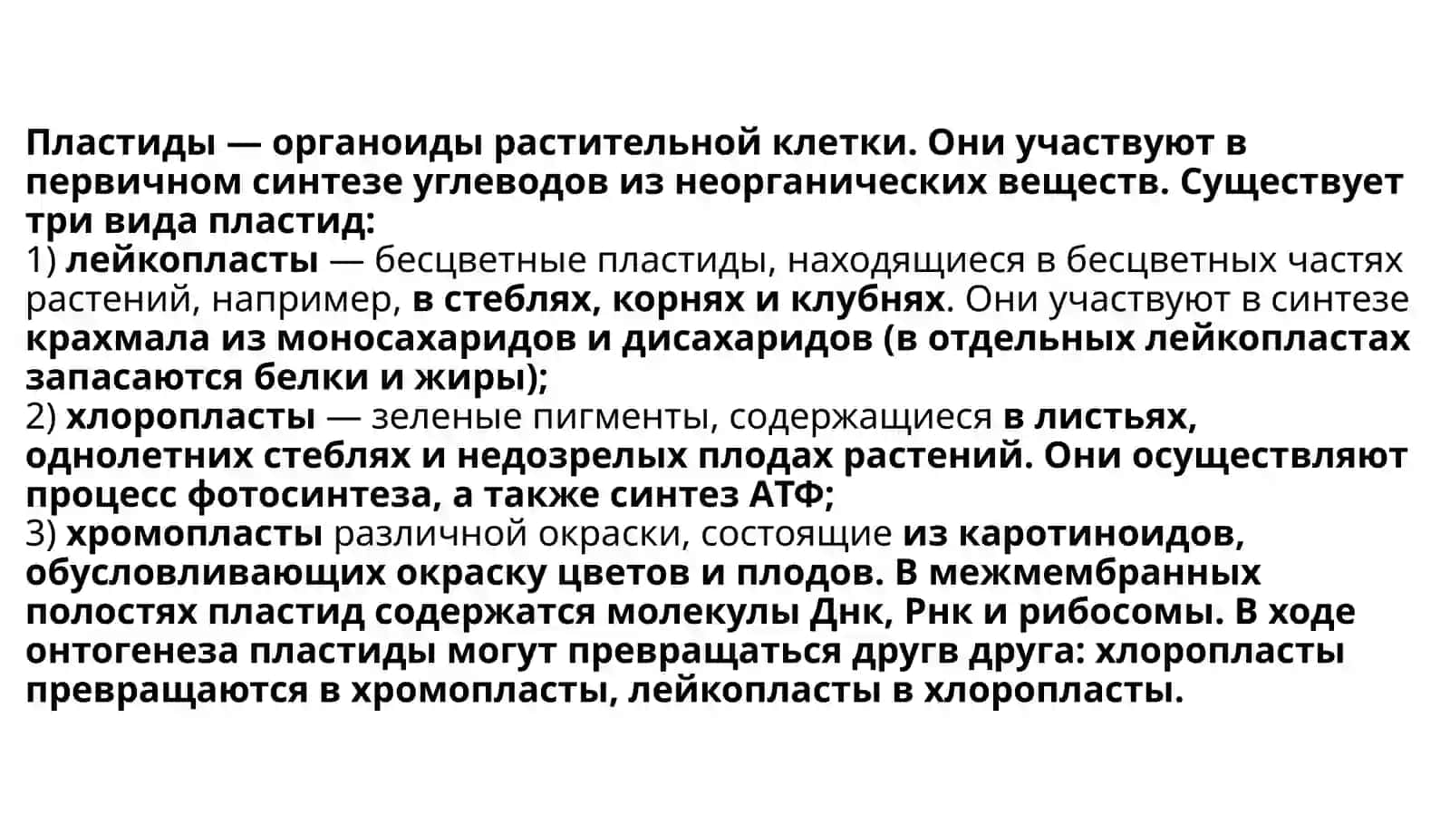 Митохондрии, пластиды, лизосомы и другие органоиды цитоплазмы 3
