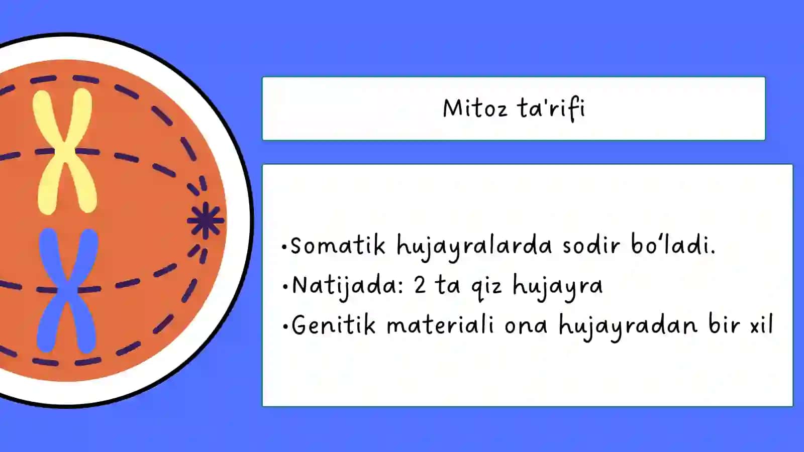 MITOZ VA MEYOZ 3