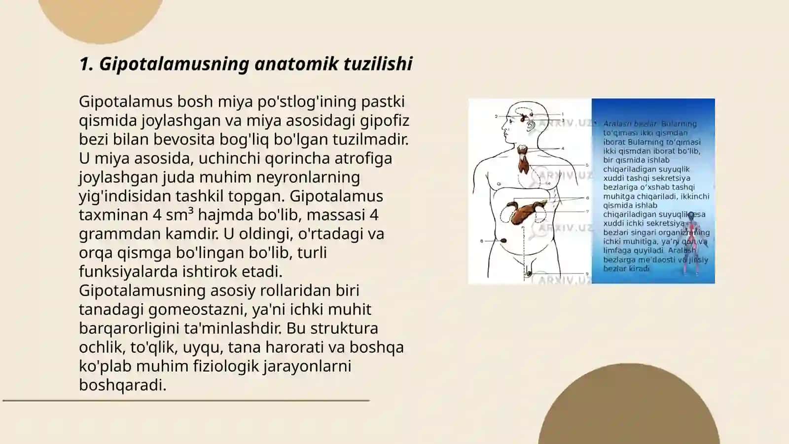 Gipatalomus oʻzaklari va ularning ahamiyati 3