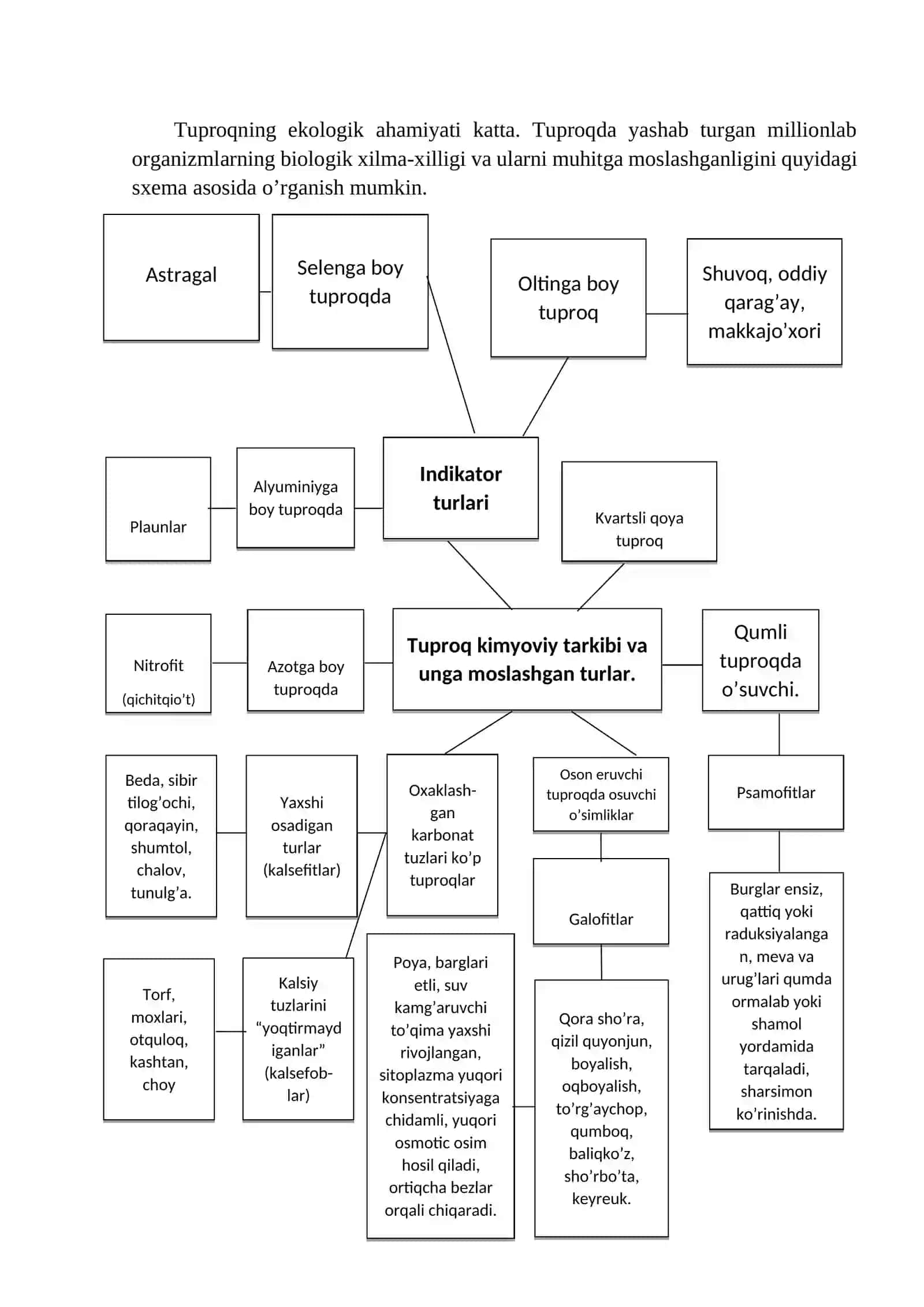 TUPROQ MUHITI OMILLARIGA ORGANIZMLARNING MOSLASHISHI 3