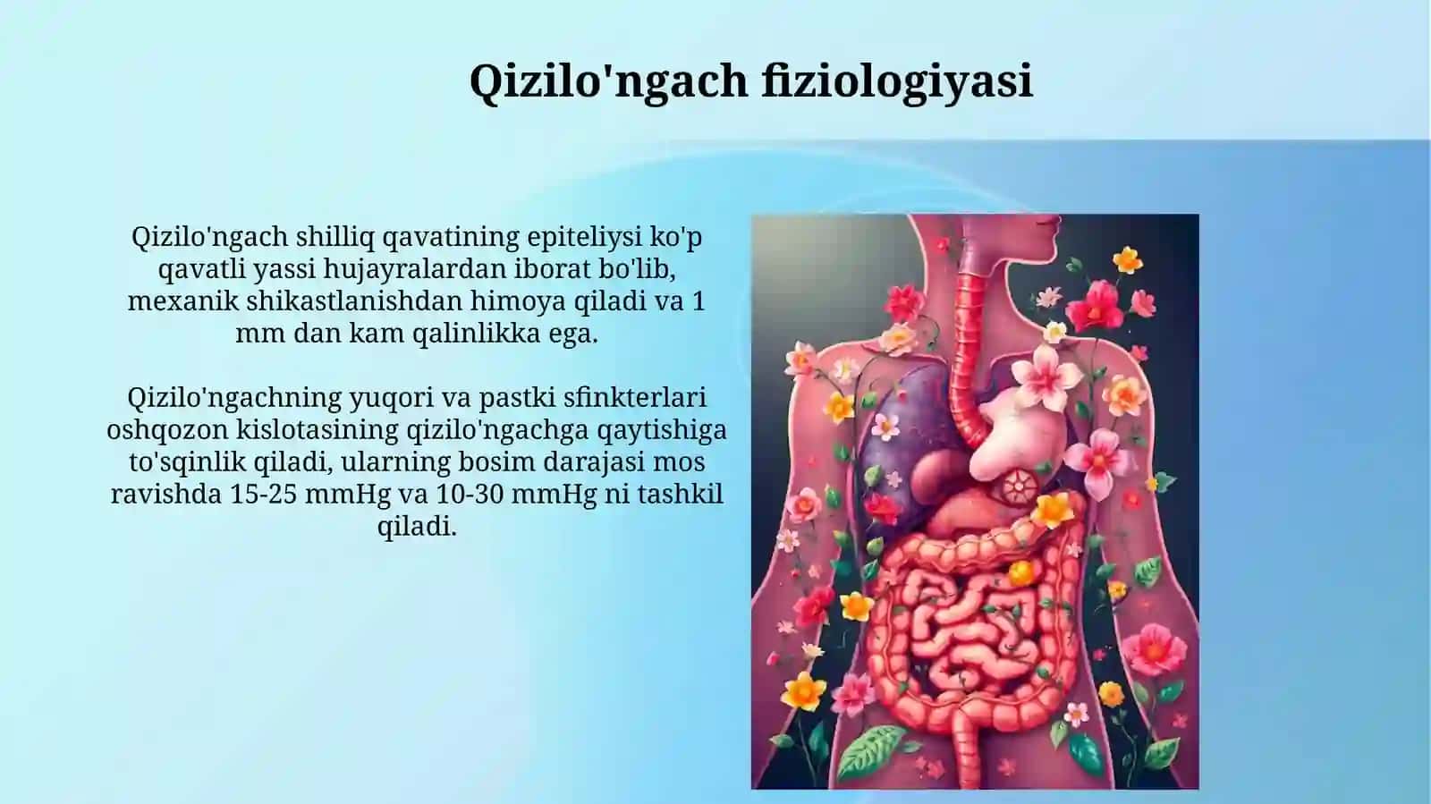 Ovqat hazm qilish sistemasi fiziologiyasi 3