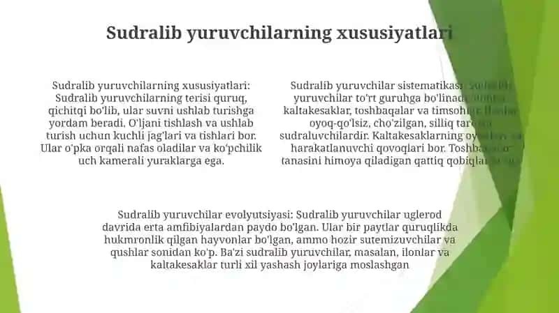Reptiliyalarning Sistematikasi 3