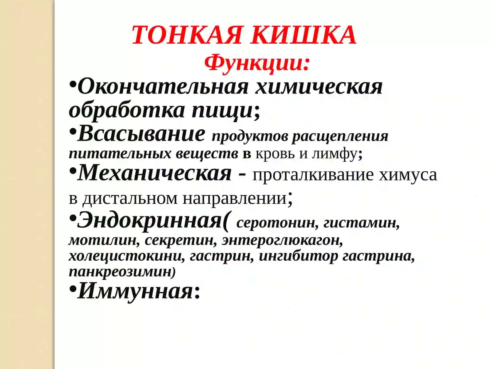 Тонкий и толстый кишечник 3