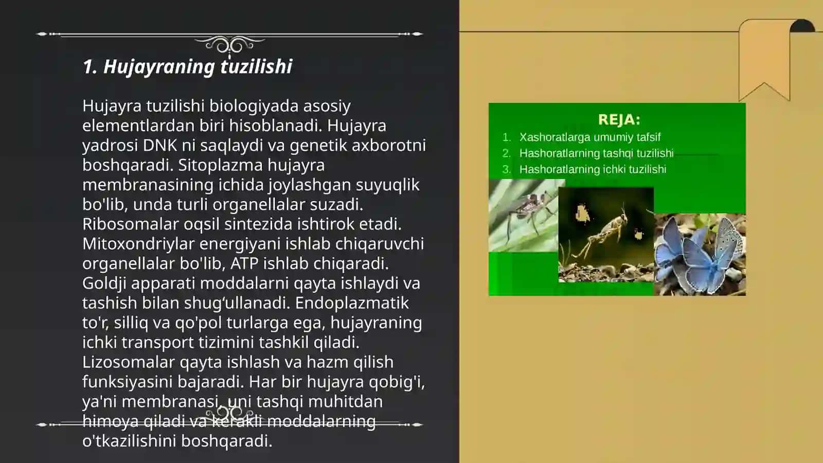 Odam anatomiyasi va fiziologiyasi faniga kirish. Hujayra fiziologiyasi 3