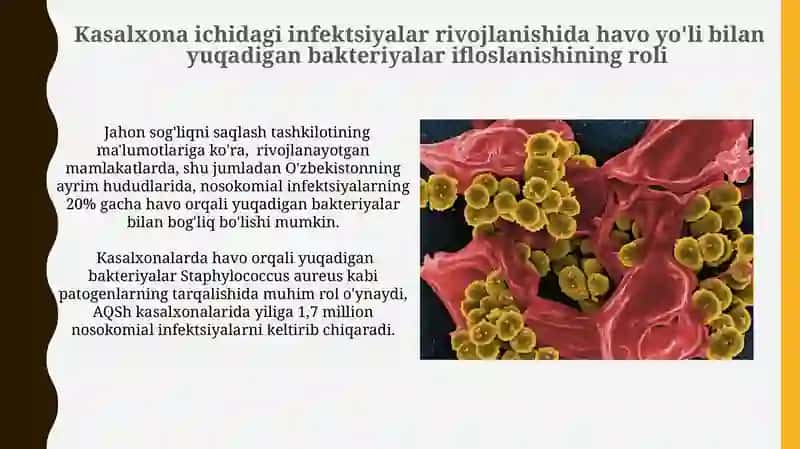 Havodagi Bakteriyalar Ifloslanishining Ahamiyati 3