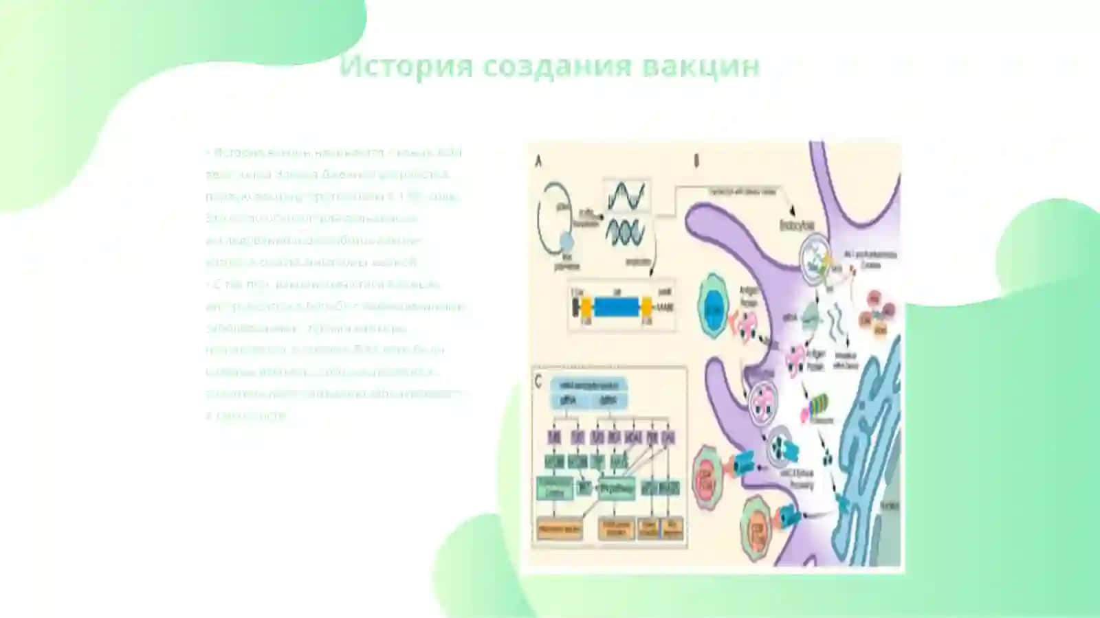 Технология создания вакцин.Традиционный и вакцины нового поколение (мРНК) 3