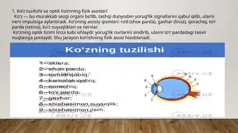 Ko‘rish va rang ajratish sensorikalarining biofizikaviy asoslari. Ko‘z sistemasi kamchiliklari va ularni bartaraf qilish 3